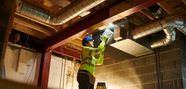 Air Duct Mold Removal in Cross Mountain, TX